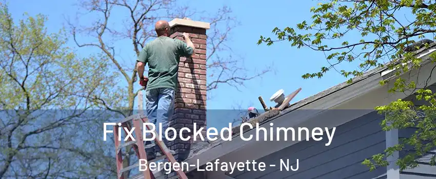 Fix Blocked Chimney Bergen-Lafayette - NJ