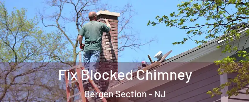 Fix Blocked Chimney Bergen Section - NJ