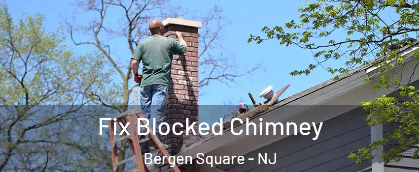 Fix Blocked Chimney Bergen Square - NJ