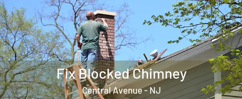 Fix Blocked Chimney Central Avenue - NJ