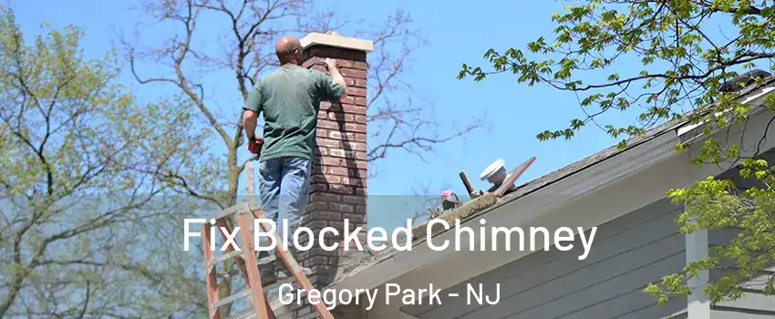 Fix Blocked Chimney Gregory Park - NJ