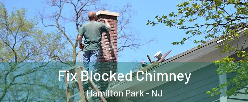Fix Blocked Chimney Hamilton Park - NJ