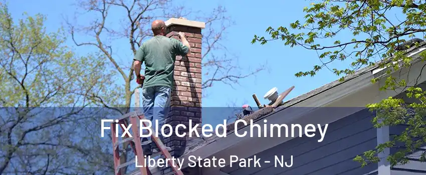 Fix Blocked Chimney Liberty State Park - NJ