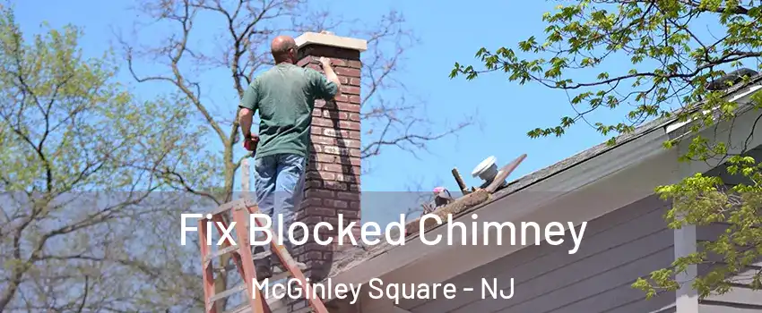 Fix Blocked Chimney McGinley Square - NJ