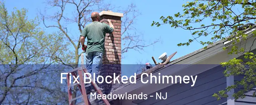 Fix Blocked Chimney Meadowlands - NJ