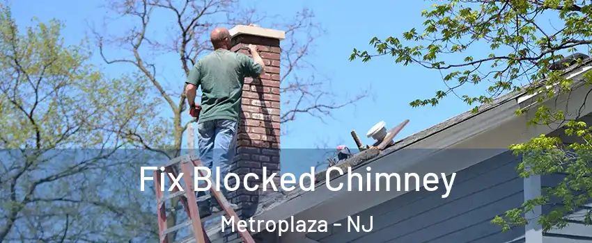 Fix Blocked Chimney Metroplaza - NJ