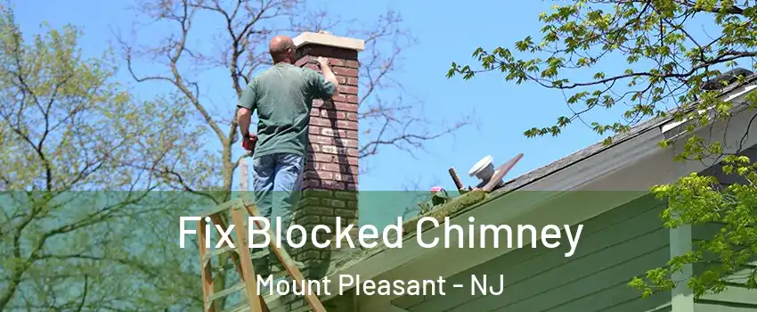 Fix Blocked Chimney Mount Pleasant - NJ