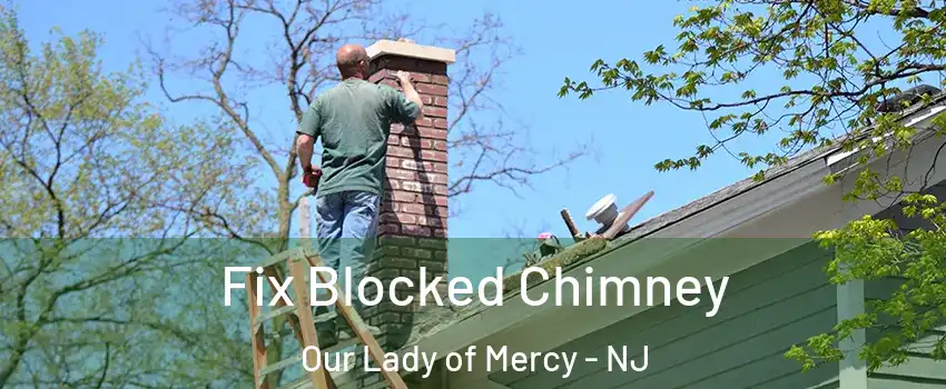 Fix Blocked Chimney Our Lady of Mercy - NJ