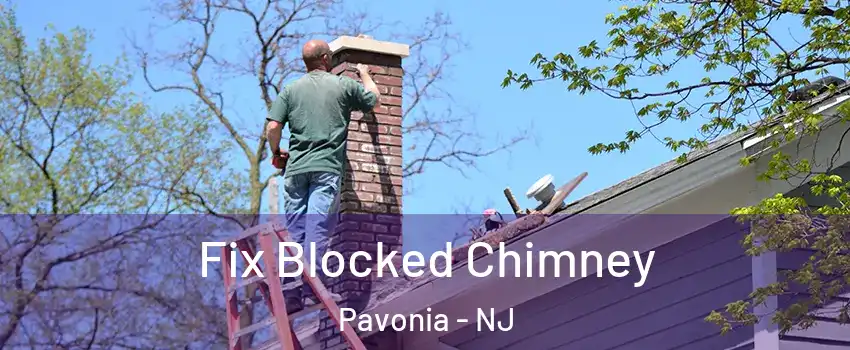Fix Blocked Chimney Pavonia - NJ