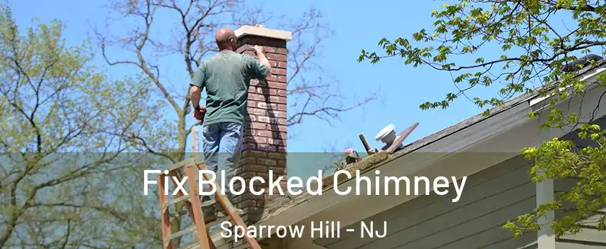 Fix Blocked Chimney Sparrow Hill - NJ