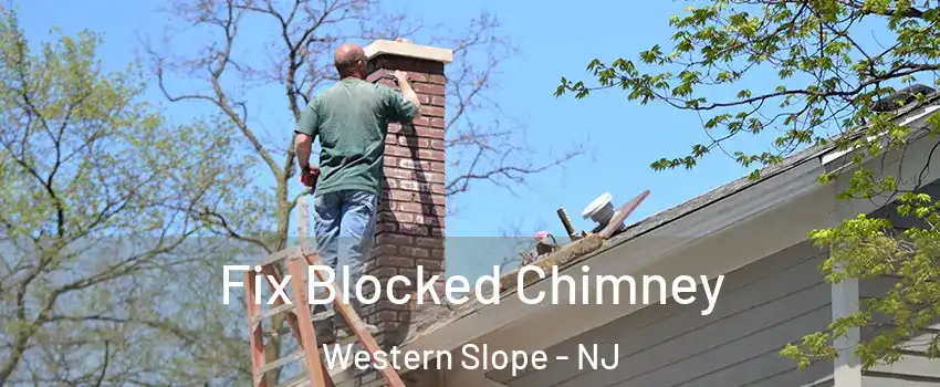 Fix Blocked Chimney Western Slope - NJ