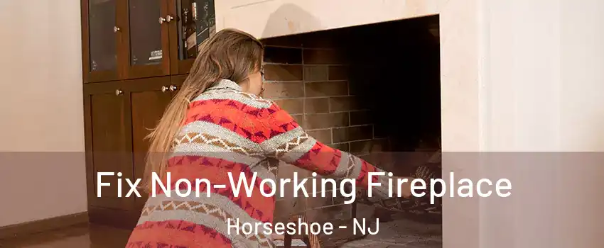 Fix Non-Working Fireplace Horseshoe - NJ