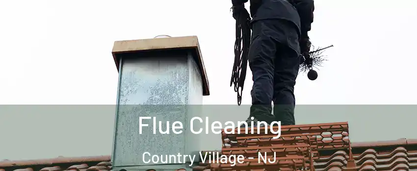Flue Cleaning Country Village - NJ