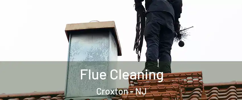 Flue Cleaning Croxton - NJ
