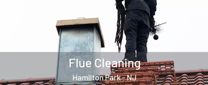 Flue Cleaning Hamilton Park - NJ