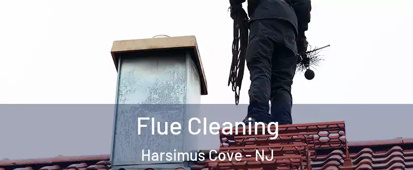 Flue Cleaning Harsimus Cove - NJ