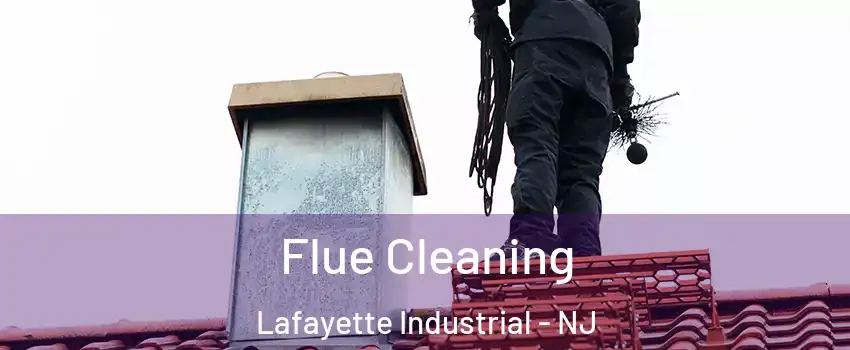 Flue Cleaning Lafayette Industrial - NJ