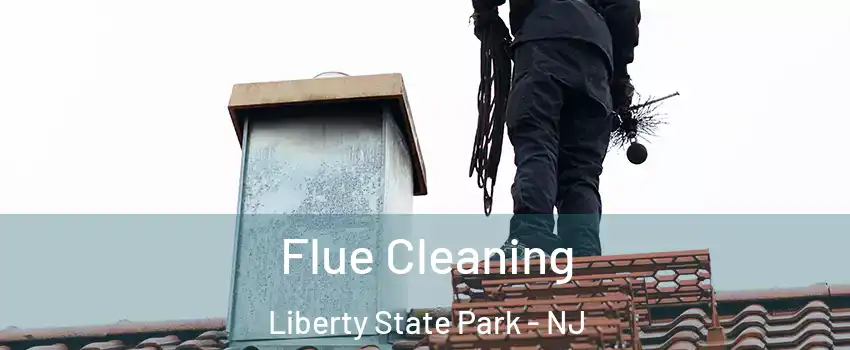 Flue Cleaning Liberty State Park - NJ