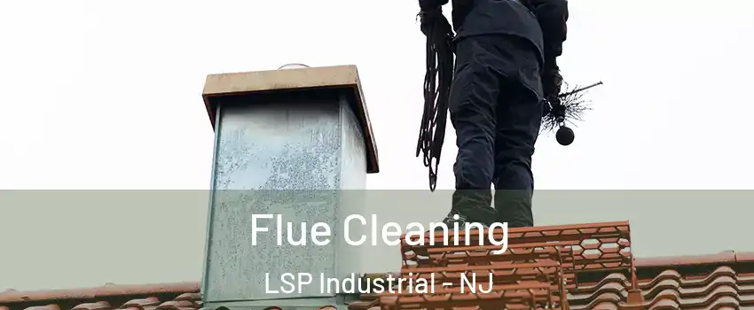 Flue Cleaning LSP Industrial - NJ
