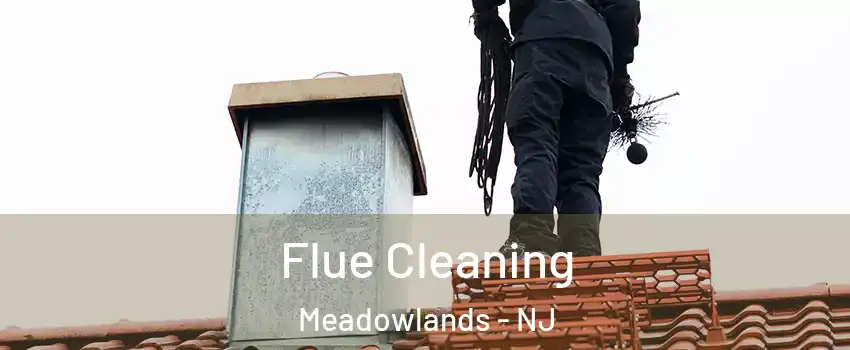 Flue Cleaning Meadowlands - NJ
