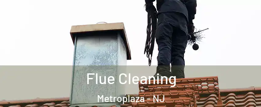 Flue Cleaning Metroplaza - NJ