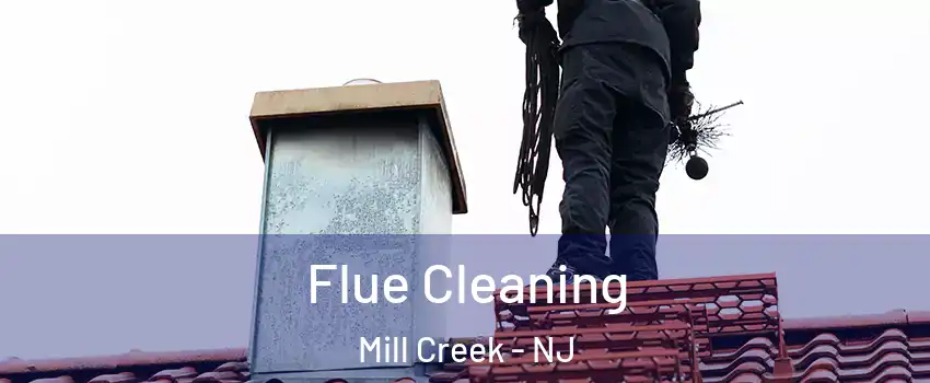 Flue Cleaning Mill Creek - NJ
