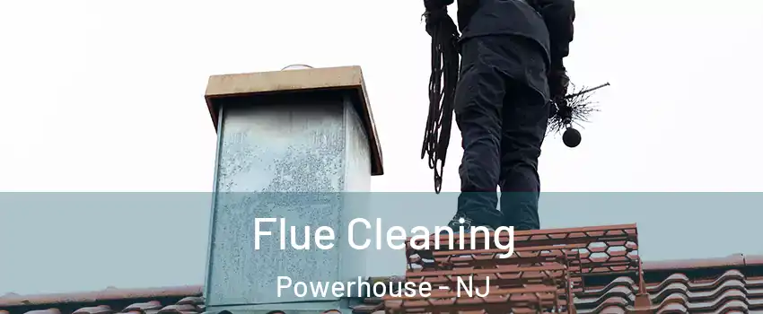 Flue Cleaning Powerhouse - NJ