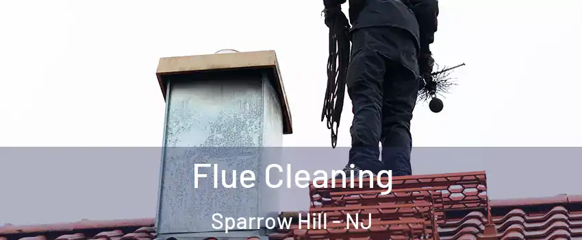 Flue Cleaning Sparrow Hill - NJ