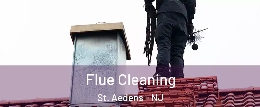 Flue Cleaning St. Aedens - NJ