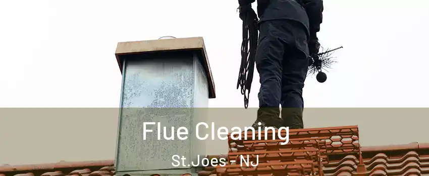 Flue Cleaning St.Joes - NJ