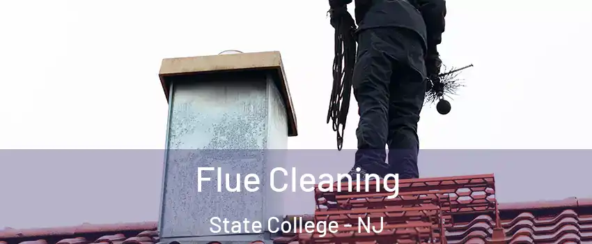 Flue Cleaning State College - NJ