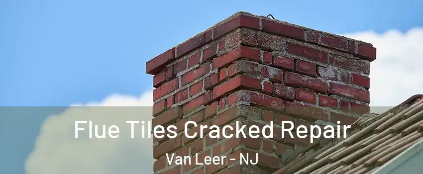Flue Tiles Cracked Repair Van Leer - NJ