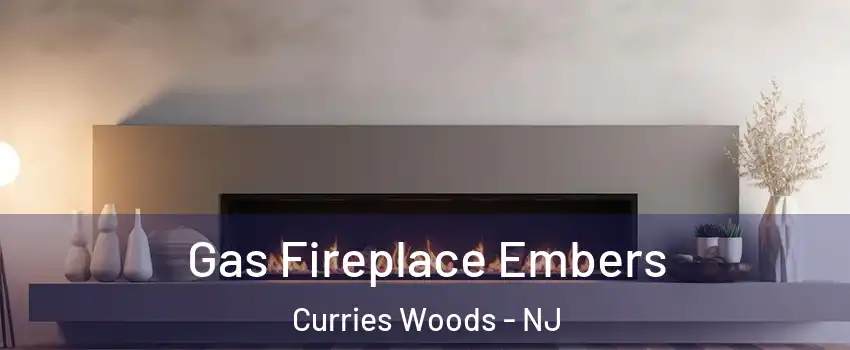 Gas Fireplace Embers Curries Woods - NJ