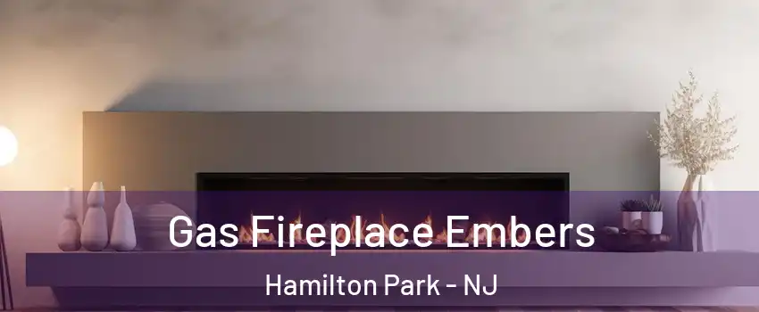 Gas Fireplace Embers Hamilton Park - NJ