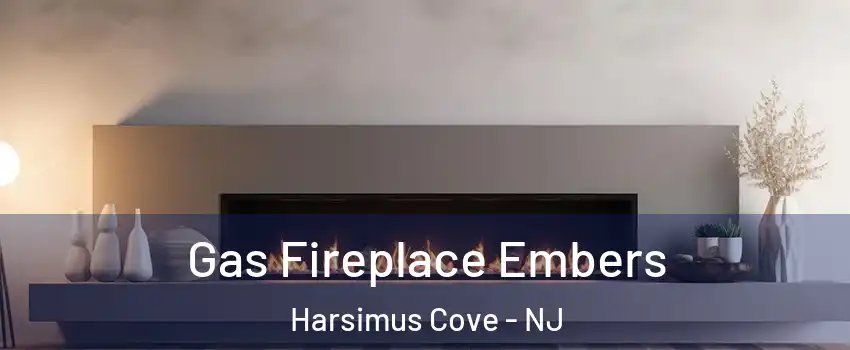 Gas Fireplace Embers Harsimus Cove - NJ