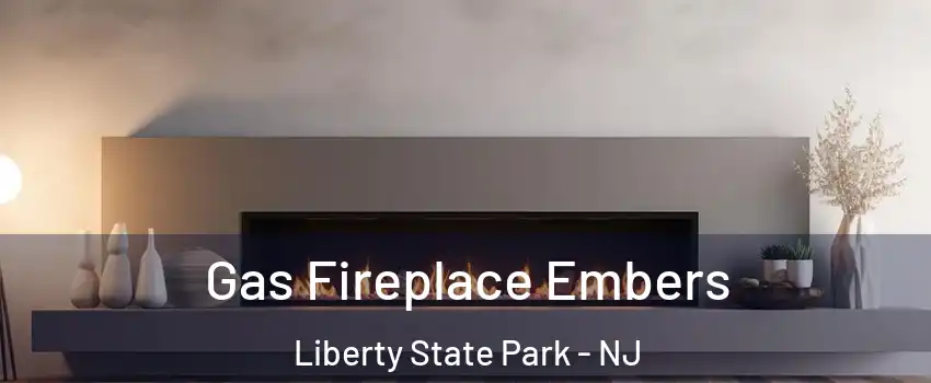 Gas Fireplace Embers Liberty State Park - NJ