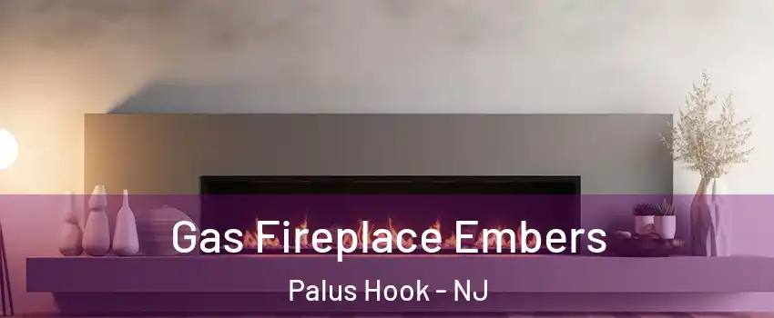 Gas Fireplace Embers Palus Hook - NJ