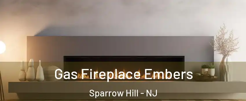 Gas Fireplace Embers Sparrow Hill - NJ