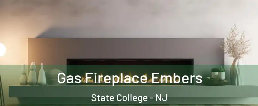 Gas Fireplace Embers State College - NJ