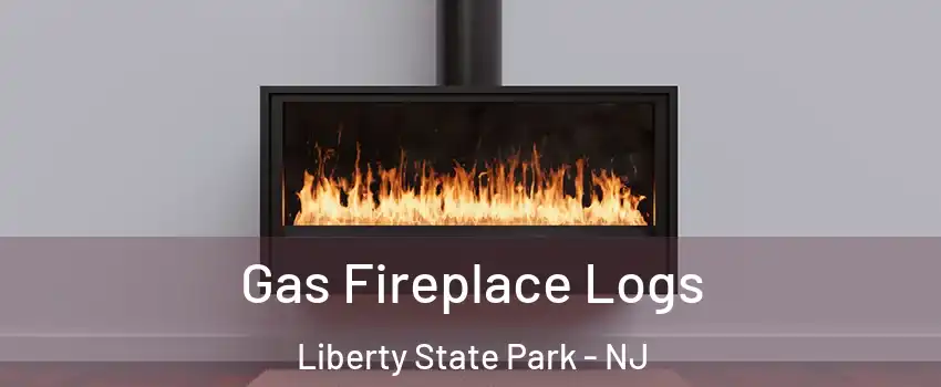 Gas Fireplace Logs Liberty State Park - NJ
