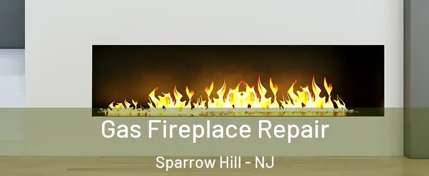 Gas Fireplace Repair Sparrow Hill - NJ