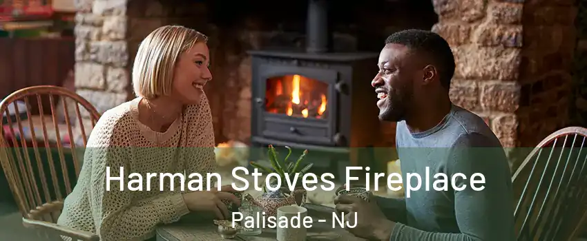 Harman Stoves Fireplace Palisade - NJ