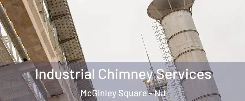 Industrial Chimney Services McGinley Square - NJ