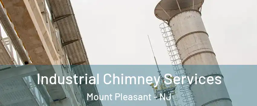 Industrial Chimney Services Mount Pleasant - NJ