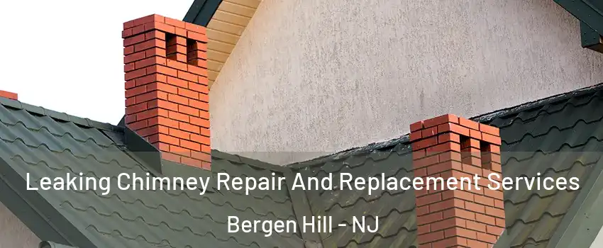 Leaking Chimney Repair And Replacement Services Bergen Hill - NJ