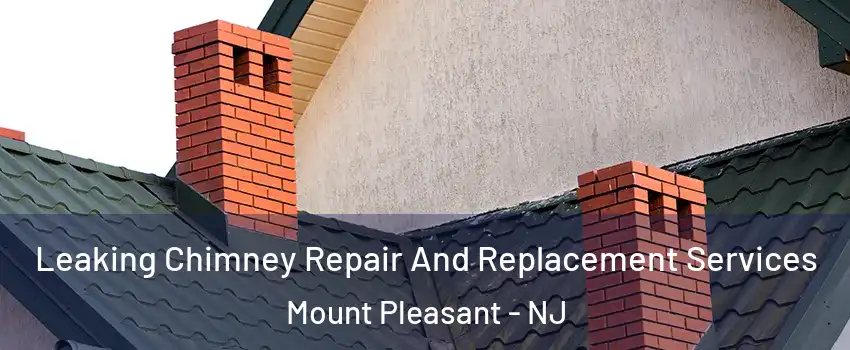 Leaking Chimney Repair And Replacement Services Mount Pleasant - NJ