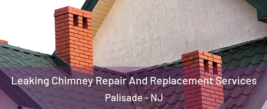Leaking Chimney Repair And Replacement Services Palisade - NJ
