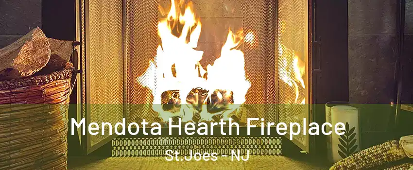 Mendota Hearth Fireplace St.Joes - NJ