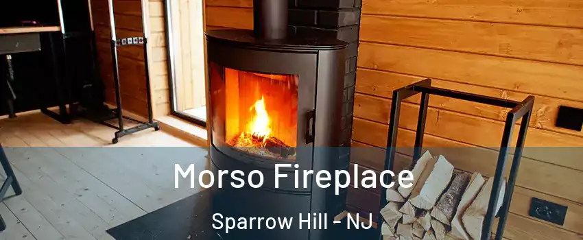 Morso Fireplace Sparrow Hill - NJ