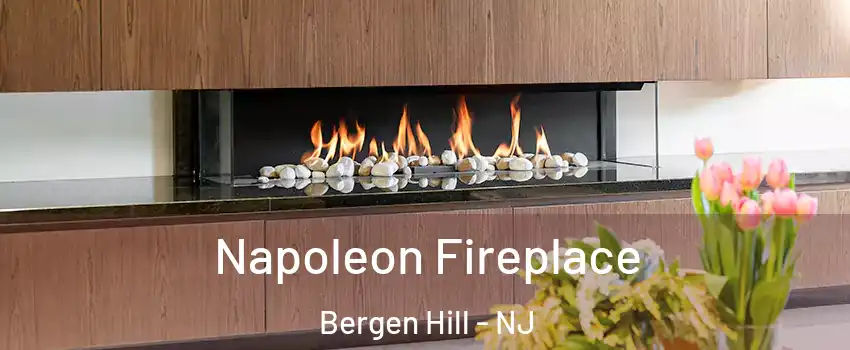 Napoleon Fireplace Bergen Hill - NJ